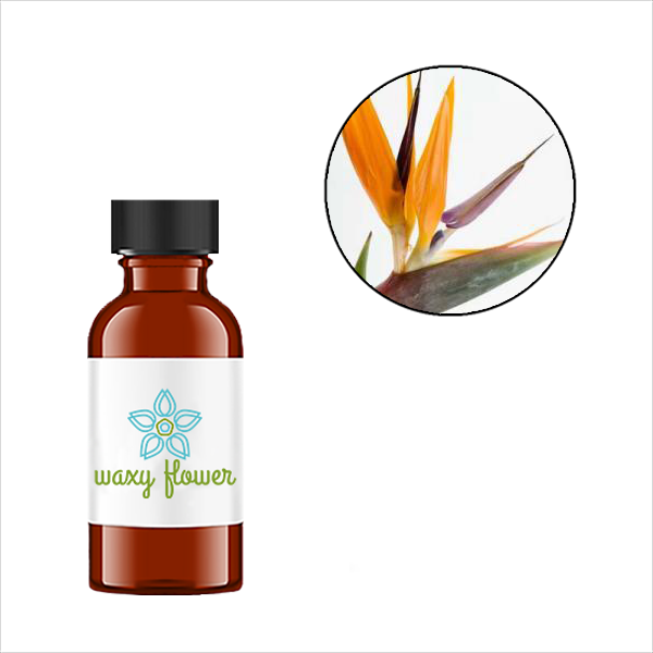 Bird of Paradise Fragrance Oil | Waxy Flower