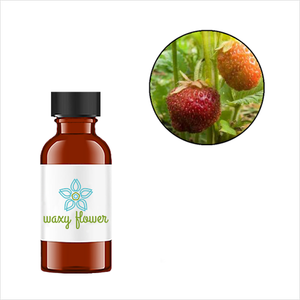 Strawberry Fields Fragrance Oil  AAA Candle Supplies – Waxy Flower