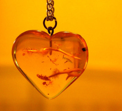 Amber Love