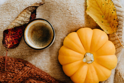 Pumpkin Harvest