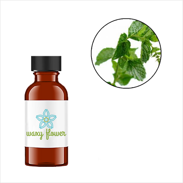 ❤さーーんさま❤oils❤ Amazon.com: PHATOIL 9PCS Fruity Essential Oils Gift Set